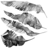 8 Large Banana Leaves Wall Decals, Black Gray White Eco Friendly Matte Tropical Leaf Decals - Wall Dressed Up