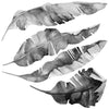 8 Large Banana Leaves Wall Decals, Black Gray White Eco Friendly Matte Tropical Leaf Decals - Wall Dressed Up