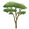 Large Acacia Tree Decal, Safari Nursery Decals, Repositionable Fabric Decals - Wall Dressed Up