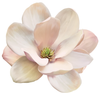 Large Magnolia Decals Flower Wall Decals, Eco-Friendly, Flower Wall Stickers - Wall Dressed Up