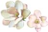 Large Magnolia Decals Flower Wall Decals, Eco-Friendly, Flower Wall Stickers - Wall Dressed Up