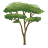 Safari Animal Wall Decals and Acacia Tree Decals, Nursery Wall Decals, Jungle Wall Stickers, African Animal Wall Decals - Wall Dressed Up