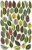 Leaf Wall Decals, Botanical Leaves Wall Decals, Autumn Leaves, Fall Leaves Wall Stickers, Repositionable and Reusable