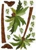 palm tree wall decals, tropical decor