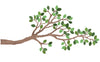 Tree Branch Wall Decal with Leaves, Branch Wall Sticker Bird Wall Decals Sheet Optional Children's Wall Stickers Peel and Stick Wall Decals
