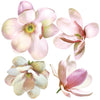 Large Magnolia Decals Flower Wall Decals, Eco-Friendly, Flower Wall Stickers - Wall Dressed Up