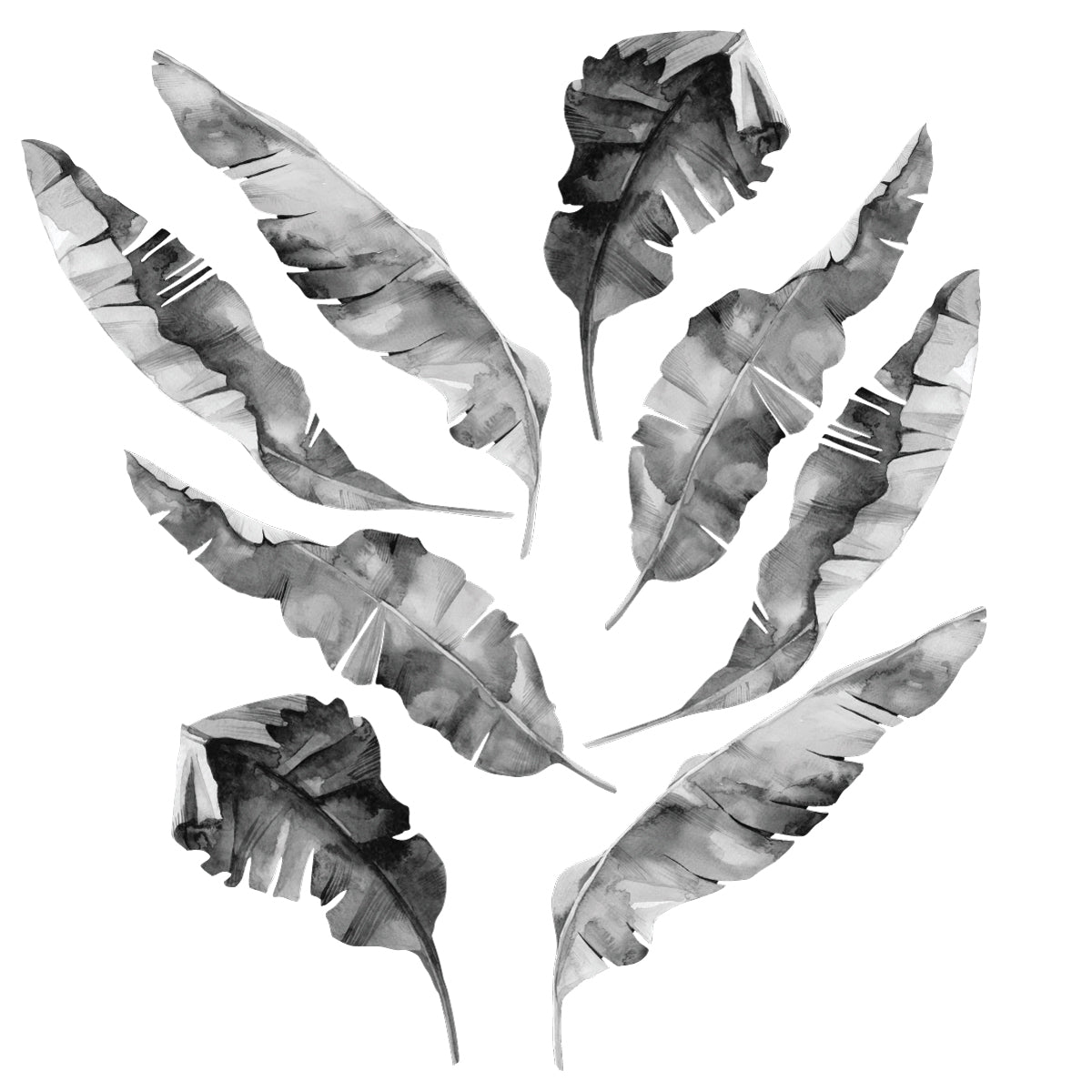 8 Large Banana Leaves Wall Decals, Black Gray White Eco Friendly Matte