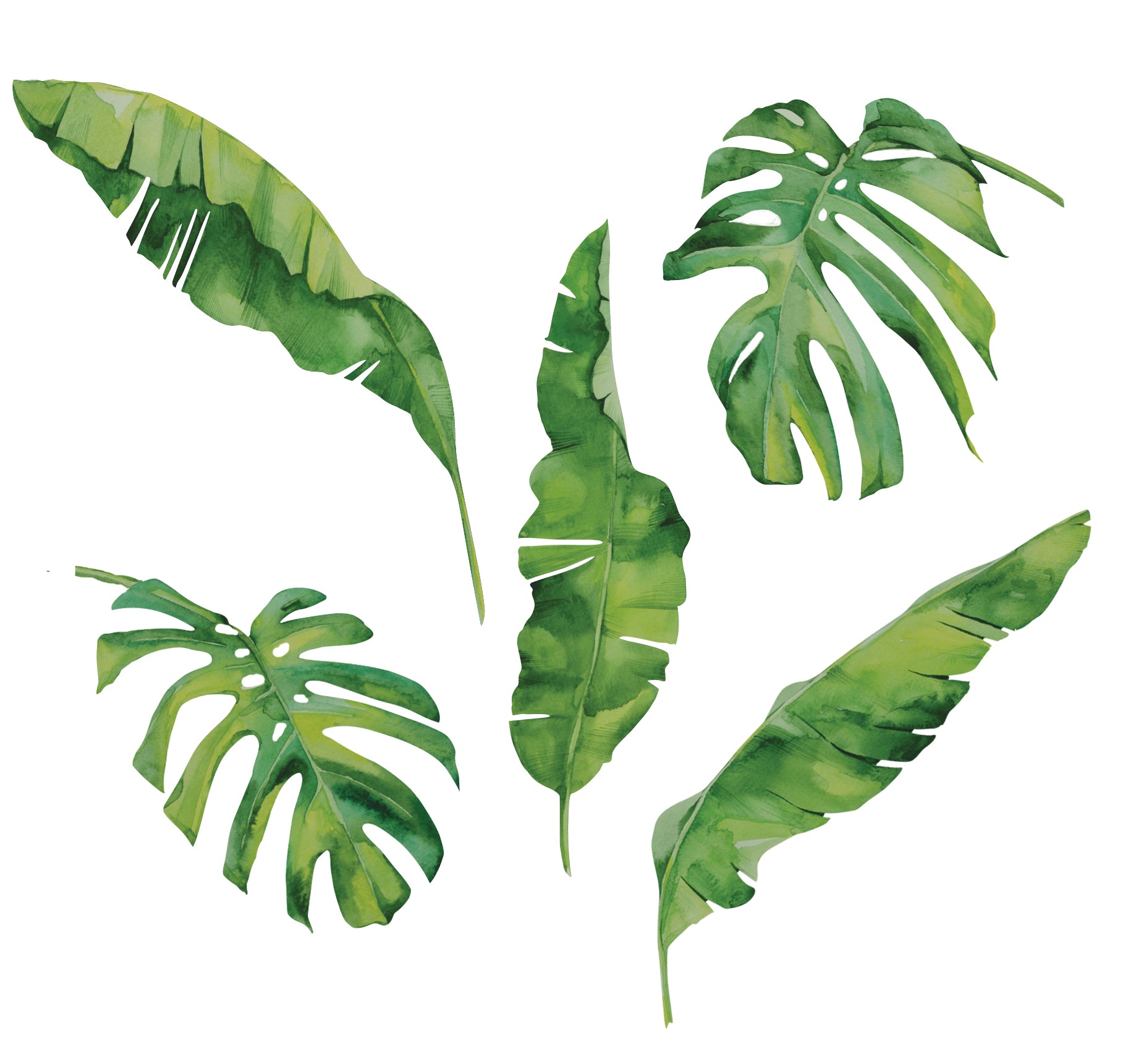 5 Large Tropical Leaf Wall Decals, Palm Leaf Wall Stickers, Monstera