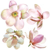 Magnolia Decals Flower Wall Decals, Eco-Friendly, Reusable Flower Wall Stickers - Wall Dressed Up