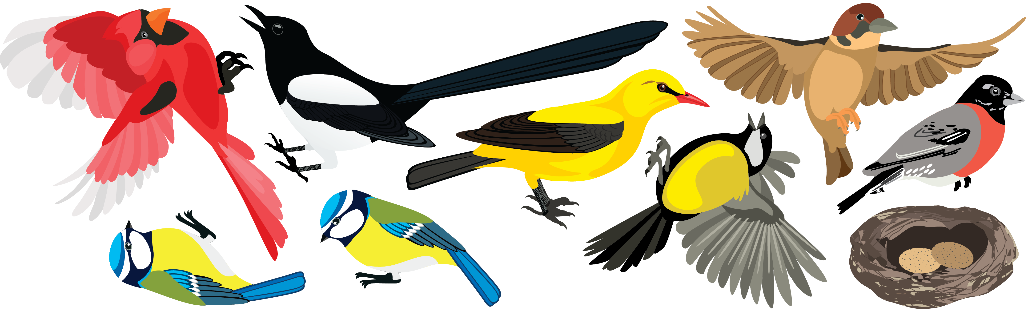 Large Woodland 7FT Tree Wall Decals, Bird Wall Decals Optional, Eco-Fr